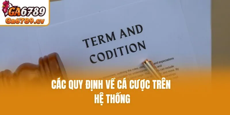 Các quy định về cá cược trên hệ thống