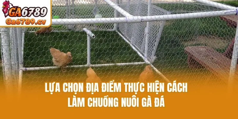 Lựa chọn địa điểm thực hiện cách làm chuồng nuôi gà đá