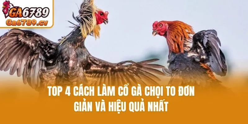 Top 4 Cách Làm Cổ Gà Chọi To Đơn Giản Và Hiệu Quả Nhất