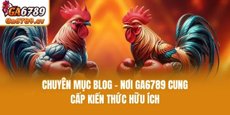Chuyên mục Blog - Nơi Ga6789 cung cấp kiến thức hữu ích