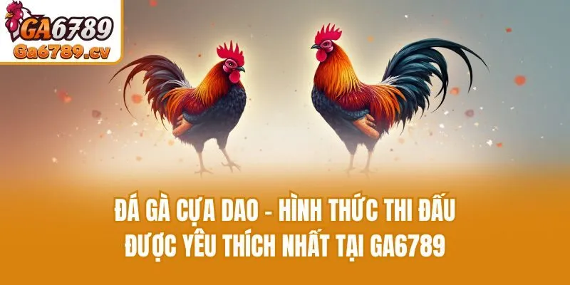 Đá gà cựa dao - Hình thức thi đấu được yêu thích nhất tại Ga6789