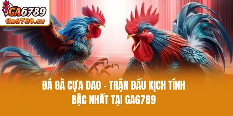 Đá Gà Cựa Dao - Trận Đấu Kịch Tính Bậc Nhất Tại Ga6789