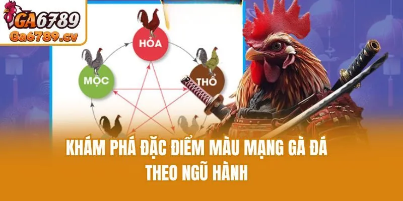 Khám phá đặc điểm màu mạng gà đá theo ngũ hành