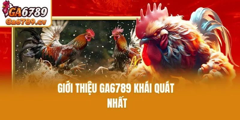Giới thiệu Ga6789 khái quát nhất