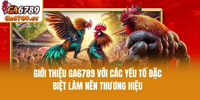                        Giới thiệu Ga6789 với các yếu tố đặc biệt làm nên thương hiệu