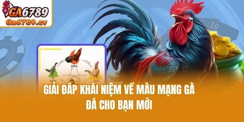 Giải đáp khái niệm về màu mạng gà đá cho bạn mới