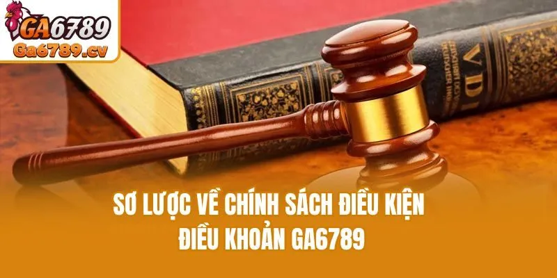 Sơ lược về chính sách điều kiện điều khoản Ga6789