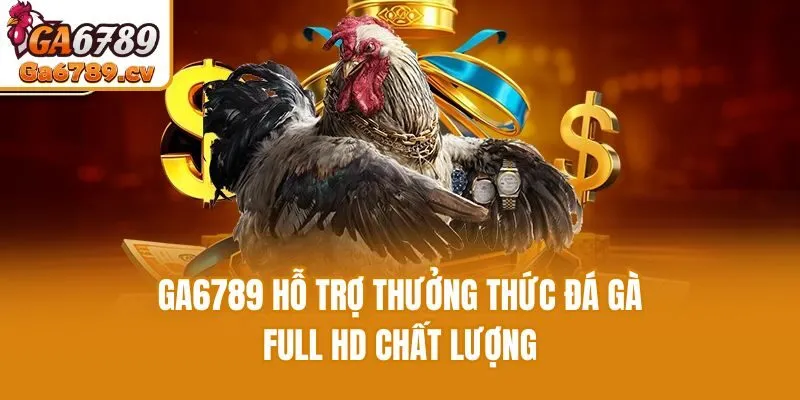 Ga6789 hỗ trợ thưởng thức đá gà full HD chất lượng